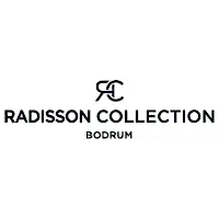 radisson blu hotel